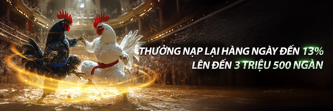 Đá Gà Trực Tuyến Hấp Dẫn tại y088
